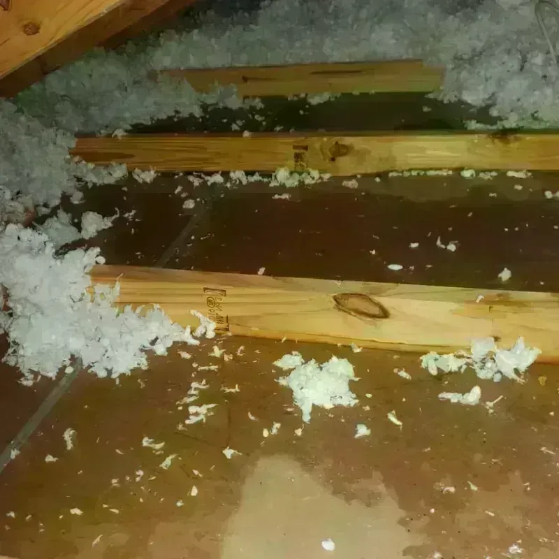 Attic Water Damage in South Portland Gardens, ME